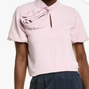 Elegant Pink Women's Top L NWT